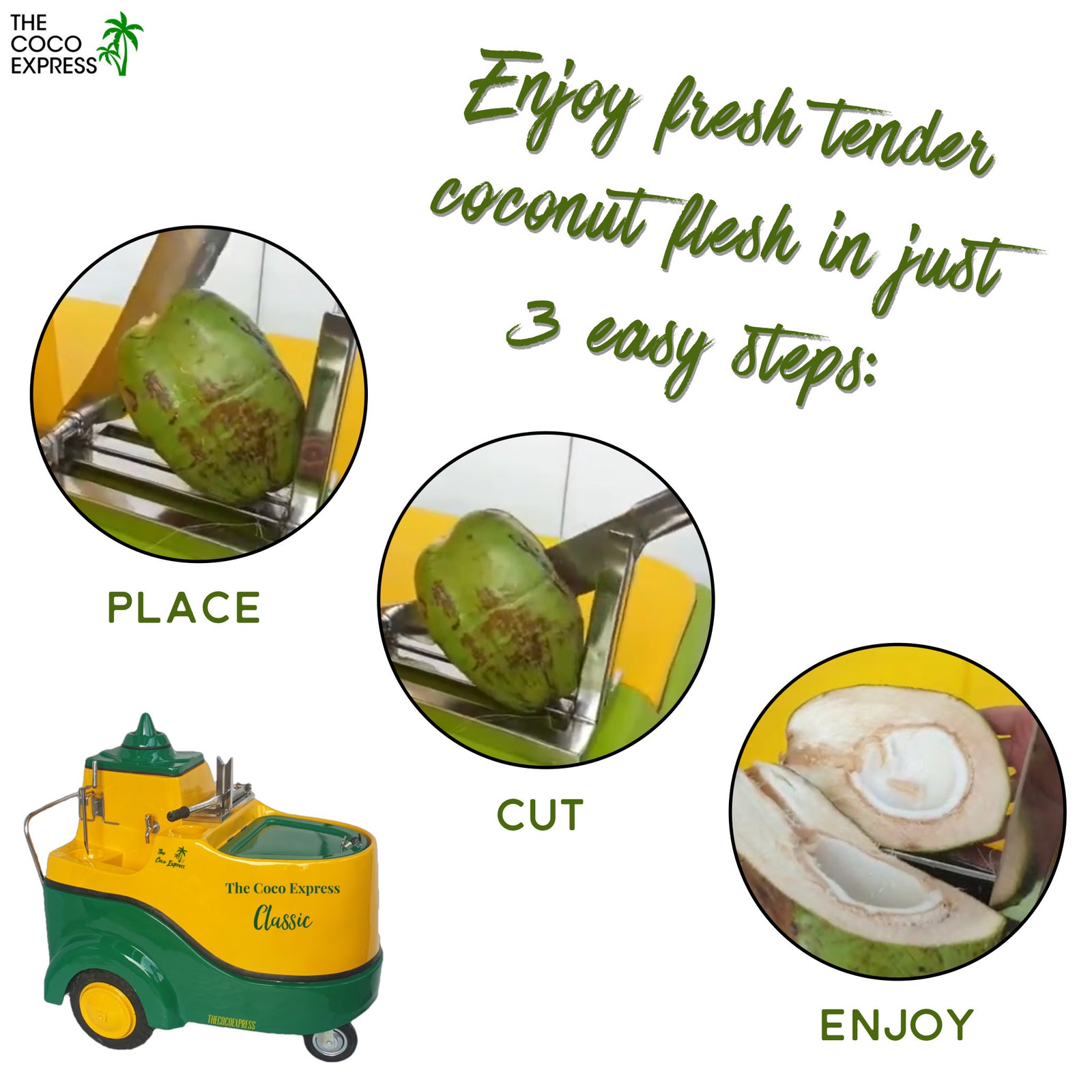 Coconut Water Cart Classic | Attractive & Beautiful Coco Express Cart