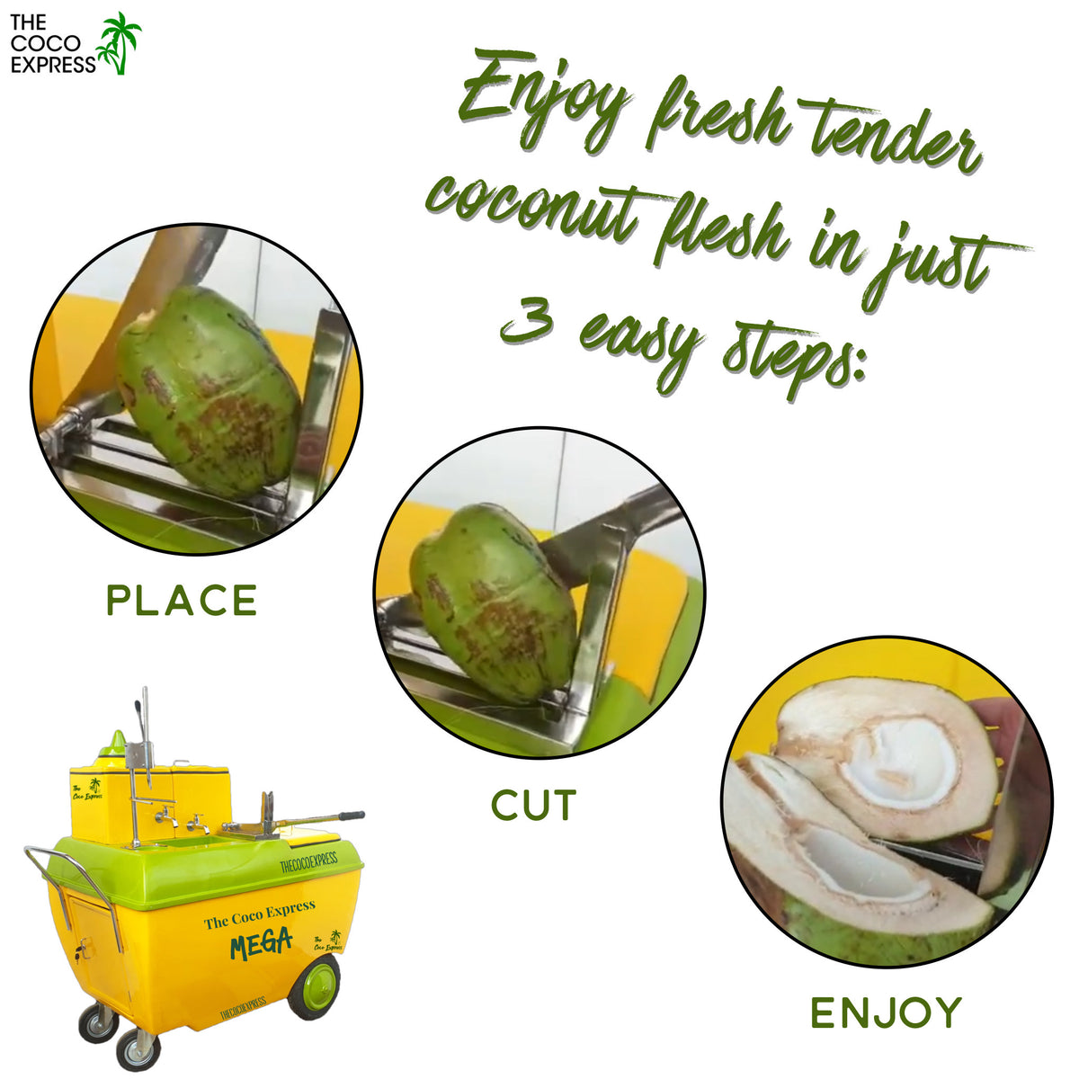 Coconut Water Cart Mega | A New Way to Sell Refreshing Coconut Water!